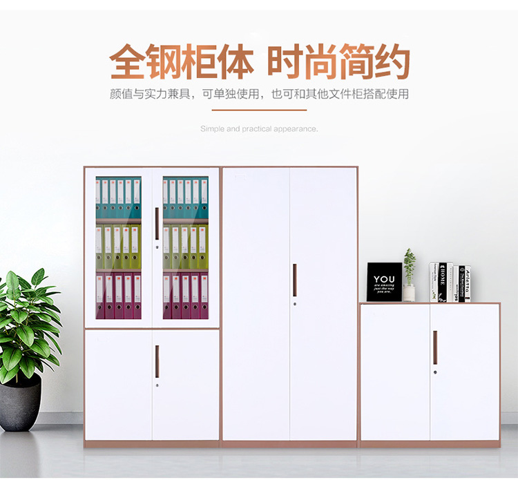 深圳產(chǎn)品展示廠家,文件柜廠家 鋼制鐵皮柜辦公文件柜加厚文件柜 廠家定制